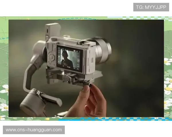 创新阶段摄录系统融合稳定器技术